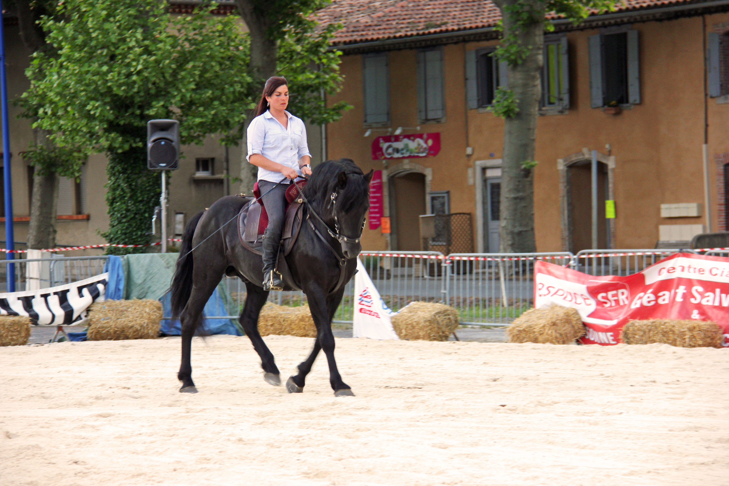 fete du cheval, Quillan : Fete du cheval 2015, VisitesVirtuelles.123.fr