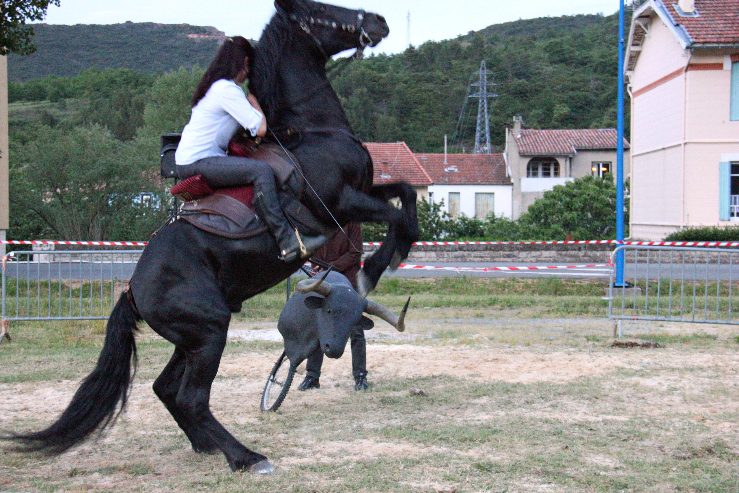 fete du cheval, Quillan : Fete du cheval 2015, VisitesVirtuelles.123.fr