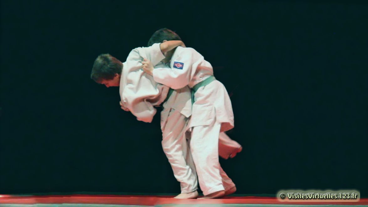 Gala de Judo a Quillan le 16 juin 2013